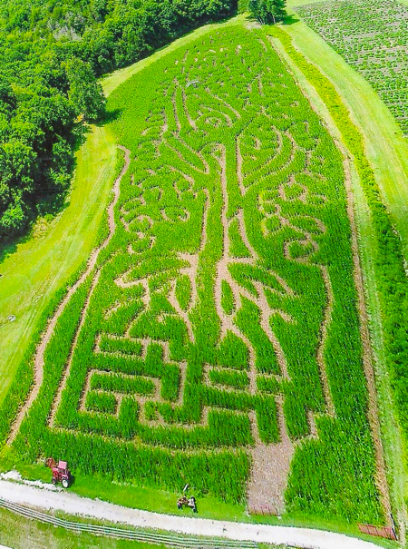 2017 Corn Maze Design